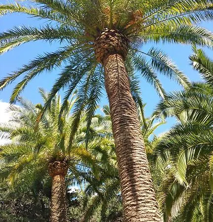 La Clarte 카발레르쉬르메르