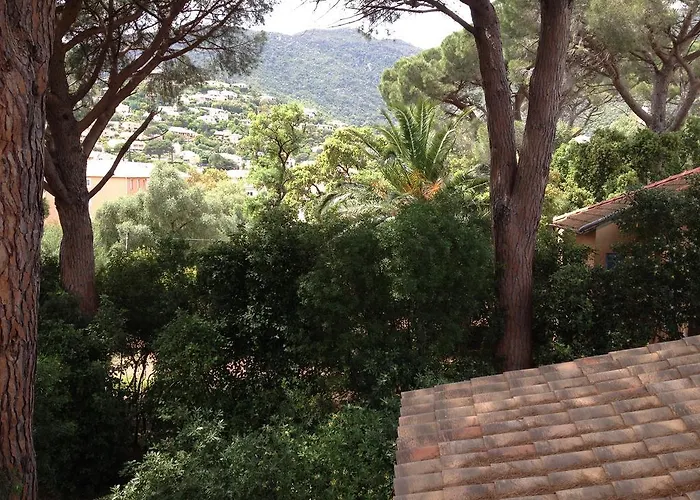 Bed and Breakfast La Clarte Cavalaire-sur-Mer